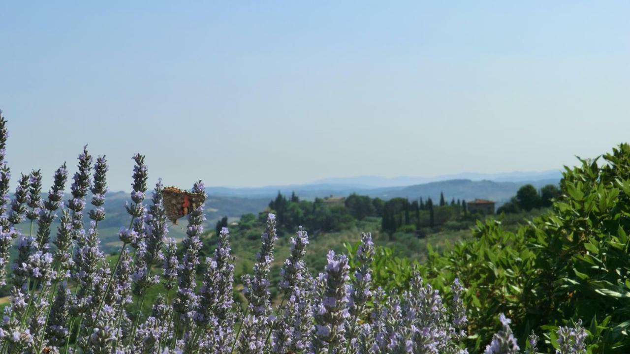 Appartamenti Ava E Tegrino Nell'Antica Dimora Di Fulignano Сан Джиминяно Екстериор снимка